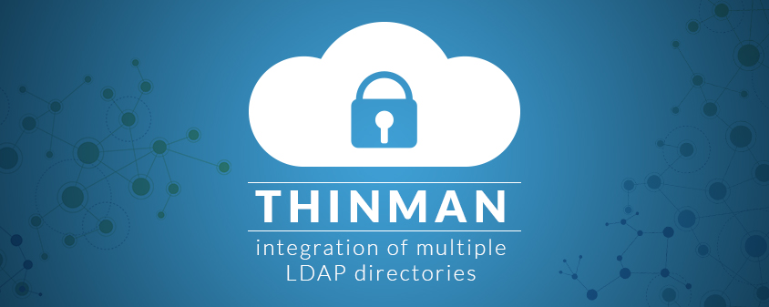 Agile Or Thinox4pc Which Is The Best Choice For Your Business
